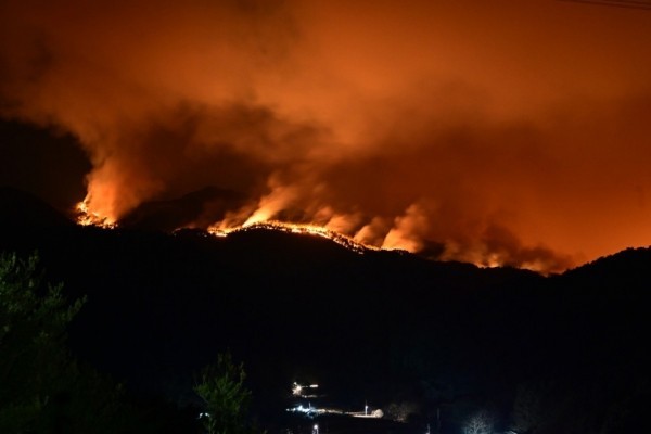 산불기부처 산불피해 고향사랑e음