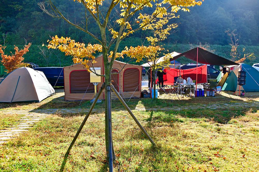 경상남도 김해시 생림오토캠핑장 소개