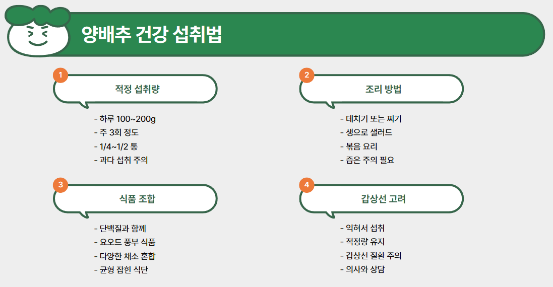 양배추 건강 섭취법