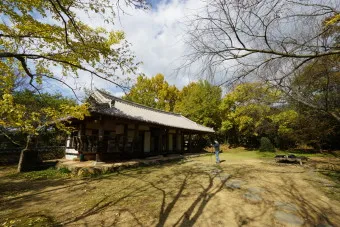 구례 가볼만한곳 베스트10 장터 현지인 맛집_18