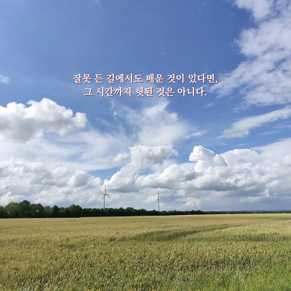 잘못 든 길에서도 배운 것이 있다면, 그 시간까지 헛된 것은 아니다. - 감성 글귀 이미지