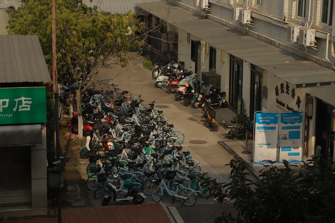 청와대 사랑채 주차장: 요금, 위치 및 꿀팁 총정리 관련 이미지 1