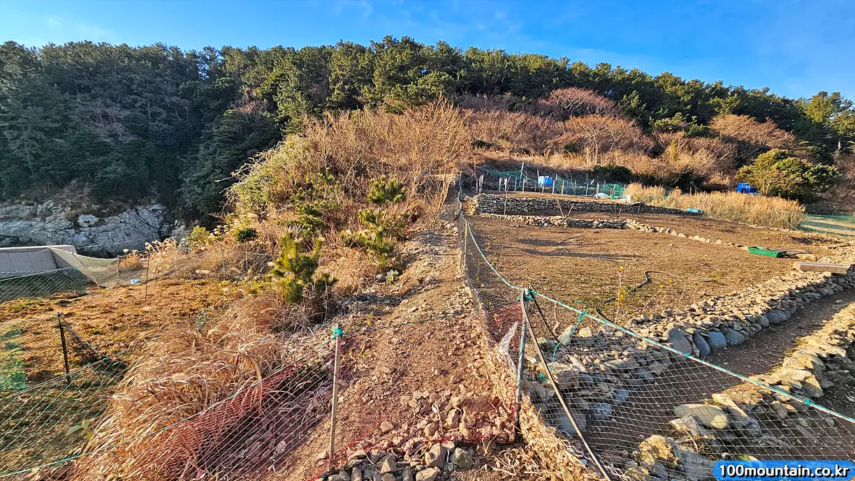그물망