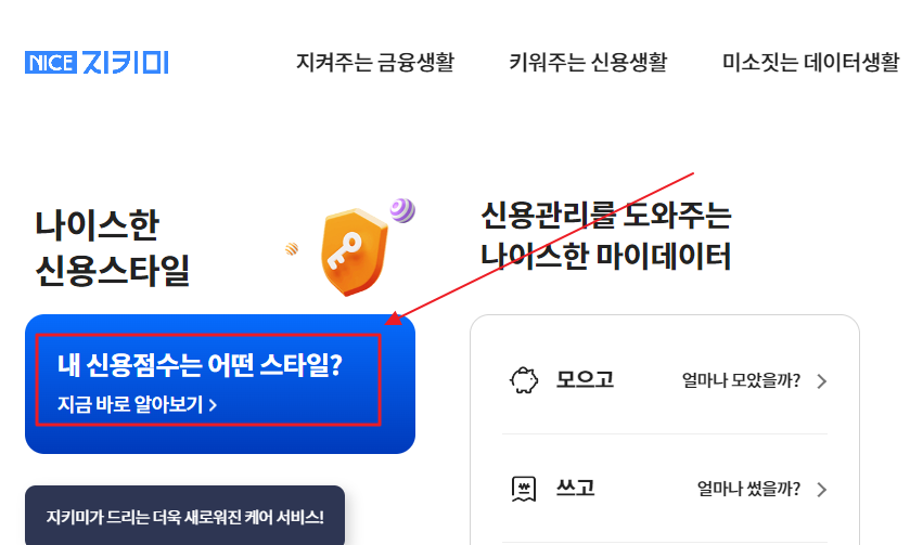 나이스지키미
