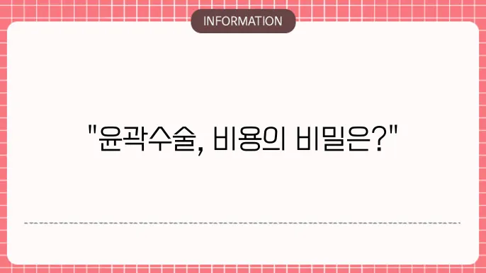 윤곽수술 비용: 병원의 시차