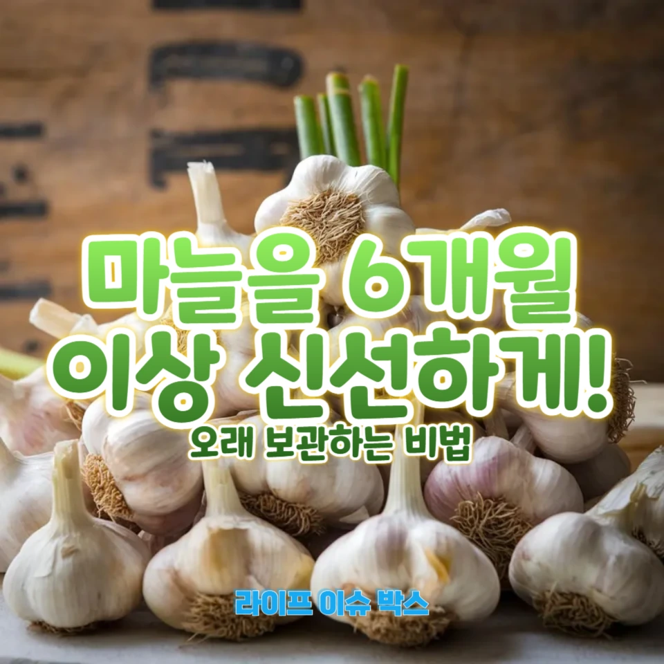 마늘이 싹트지 않게 하는 최적의 보관법