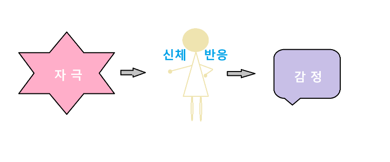윌리엄 제임스의 감정이론이 나타나는 순서 사진입니다.