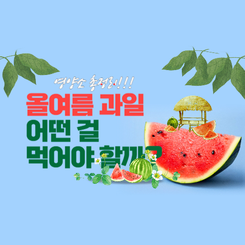 여름 제철 과일, 영양소 완벽 분석 사진