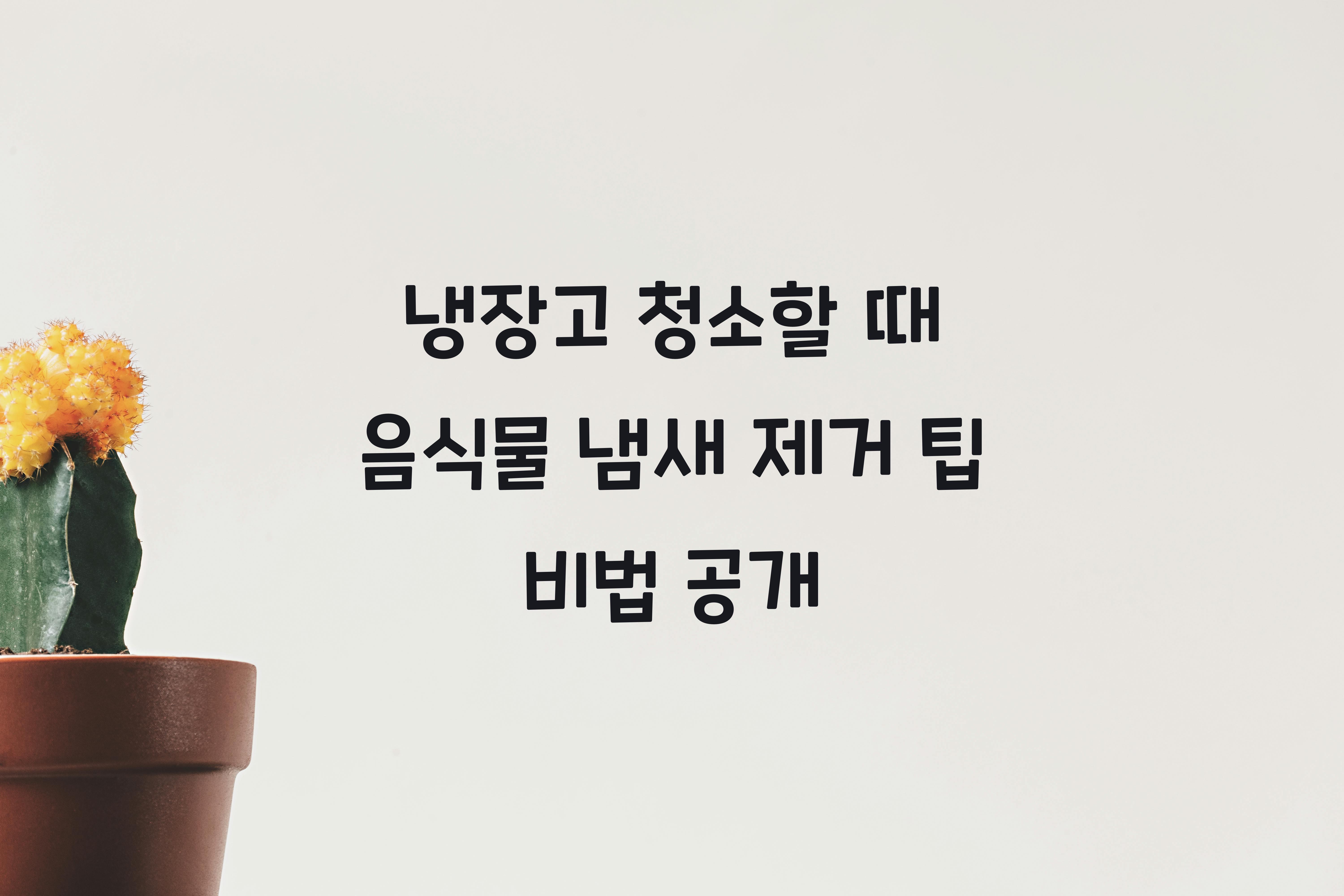 냉장고 청소할 때 음식물 냄새 제거 팁