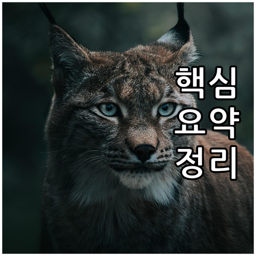 중구 대형폐기물 스티커, 왜 이제 안..