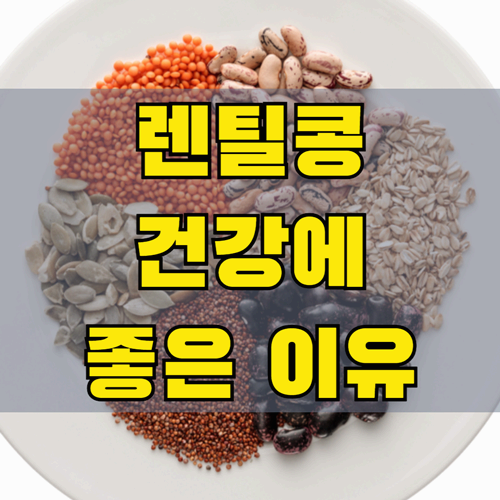 렌틸콩 원산지부터 효능까지