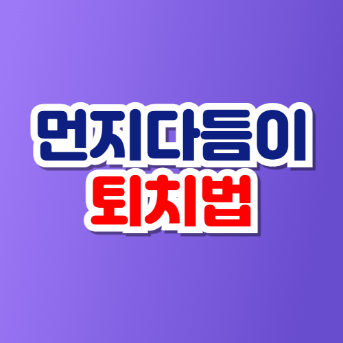 먼지다듬이 없애는 방법