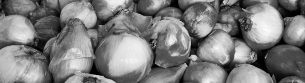 양파 수확시기, 양파 보관법: 습도 낮은 곳