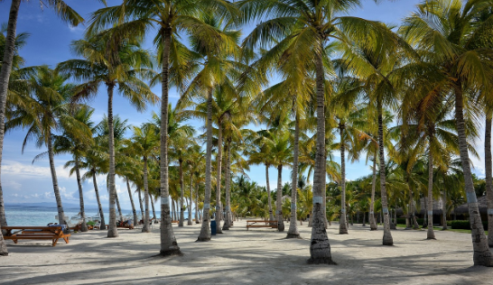 보홀 인기 리조트 비교 (헤난 vs 벨뷰 vs 아모리타)