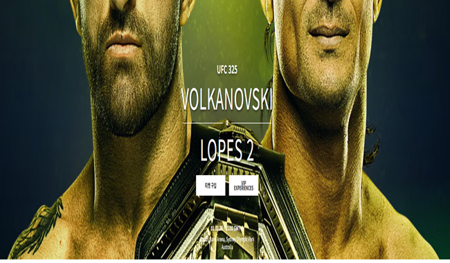 UFC 325