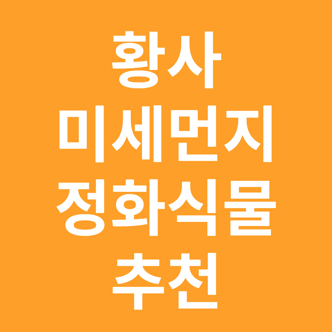 미세먼지 정화식물