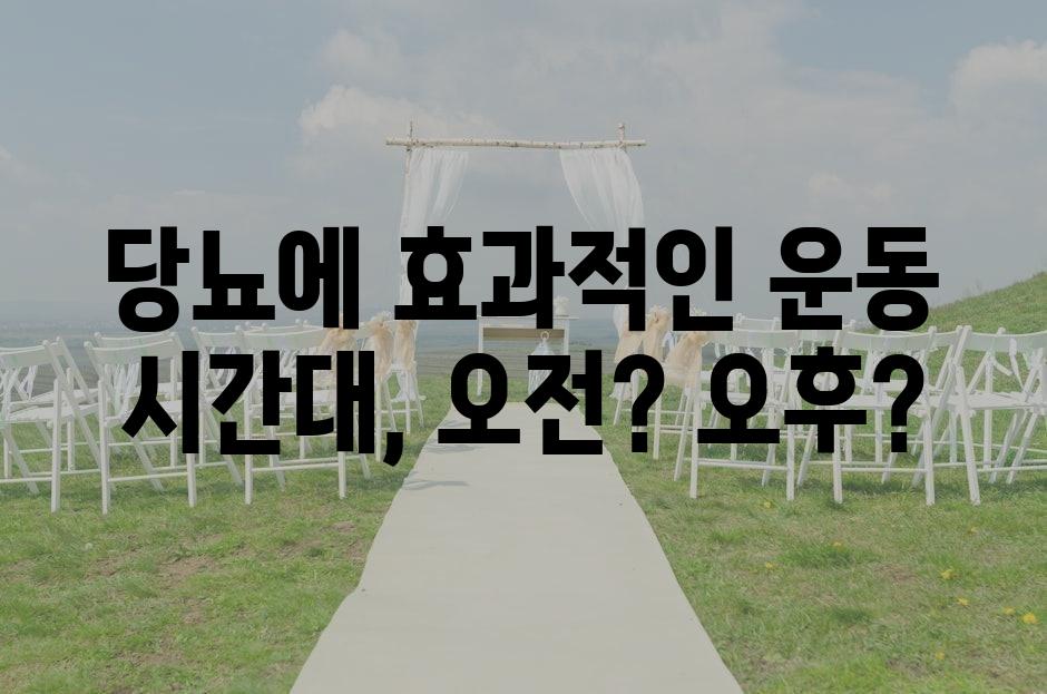 샘플 (69)