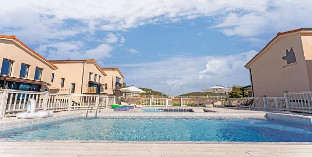 개스타 애견펜션