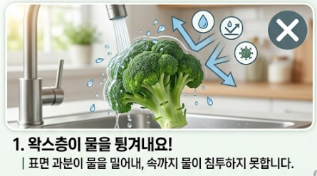 브로콜리 씻는방법