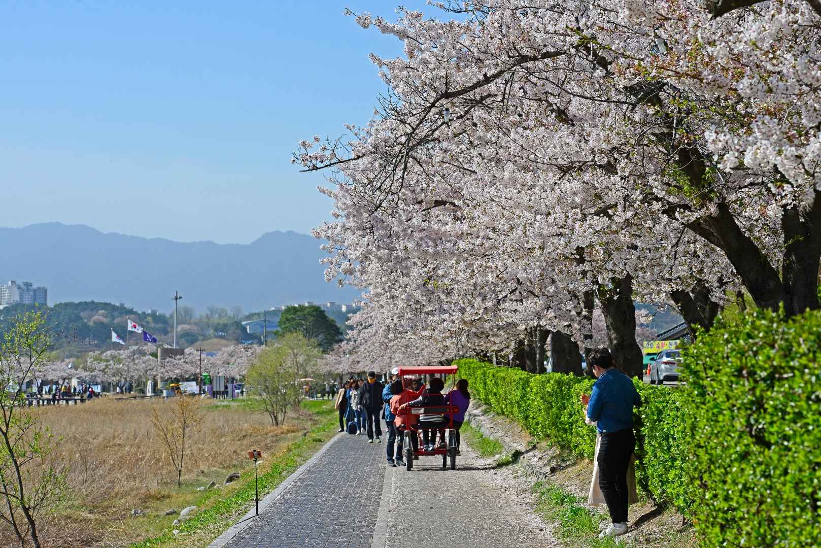 강원도 가볼만한곳 베스트10 강릉 경포대