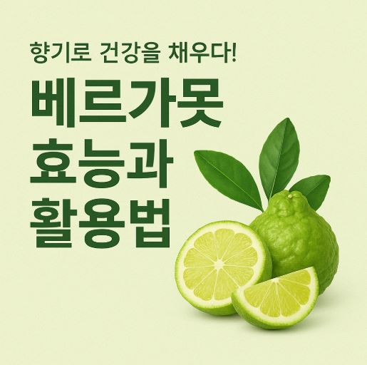베르가못 관련 사진