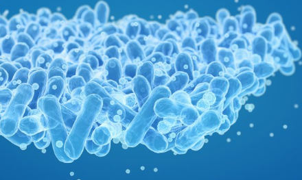 유산균 추천,프로바이오틱스