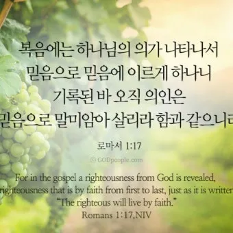 로마서 1장 설교 아이디어 복음 말씀 강해_28