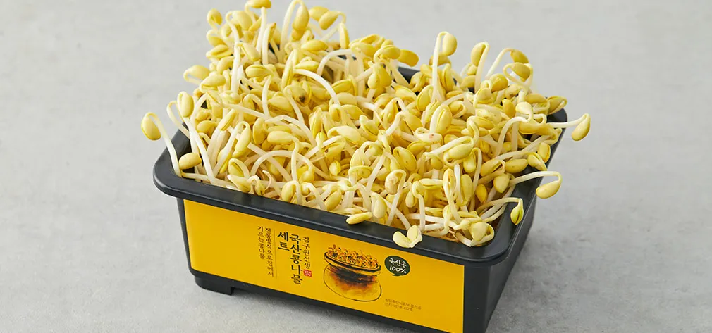 콩나물 재배 콩 불리기 온도 유지 깨끗한 세척_7