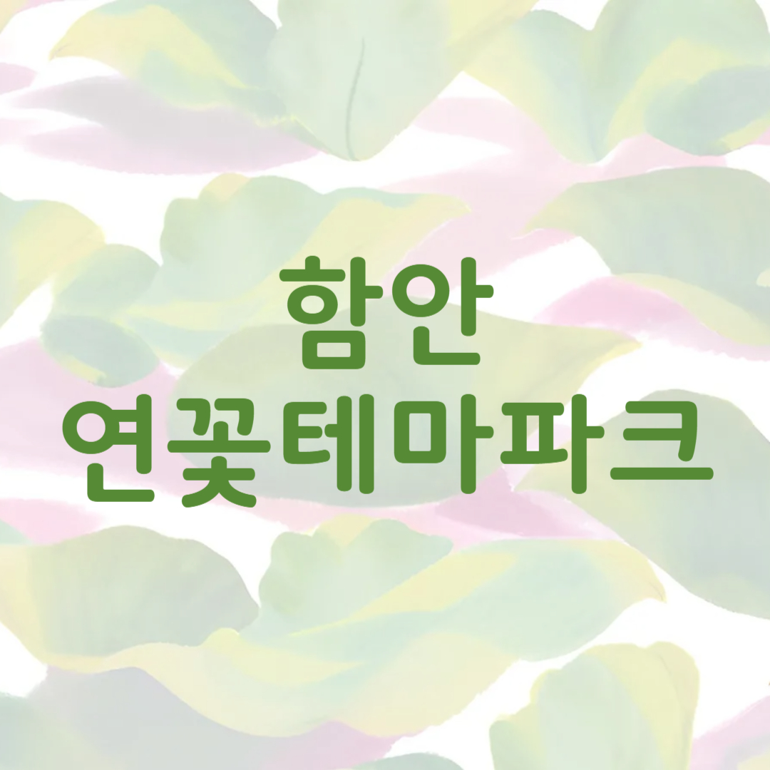 함안 연꽃테마파크