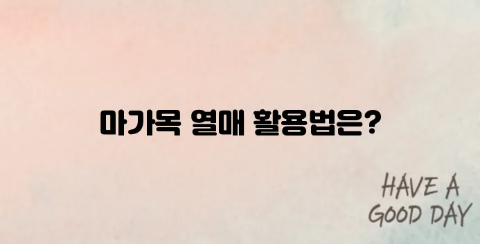 마가목 열매를 즐기는 방법 안내