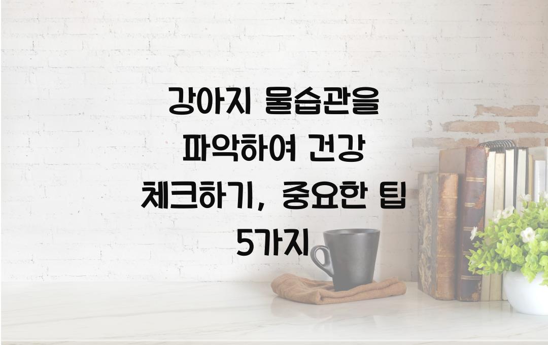 강아지 물습관을 파악하여 건강 체크하기