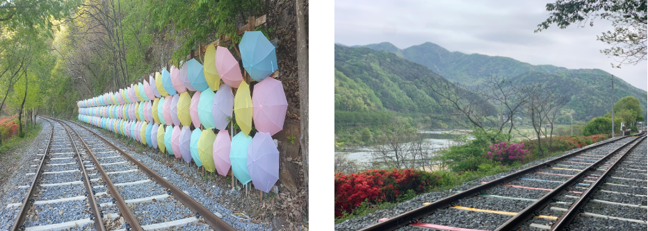 곡성 섬진강 기차마을 레일바이크 입장료 할인 방법