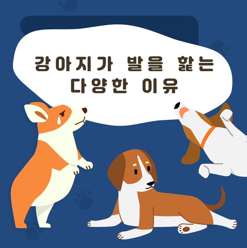 강아지-발사탕-이유와-해결방법
