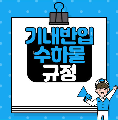 기내 반입 수하물