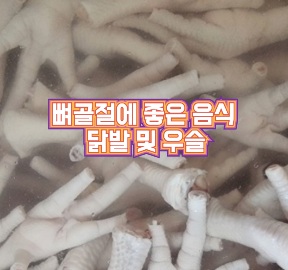 관절-닭발환-가격