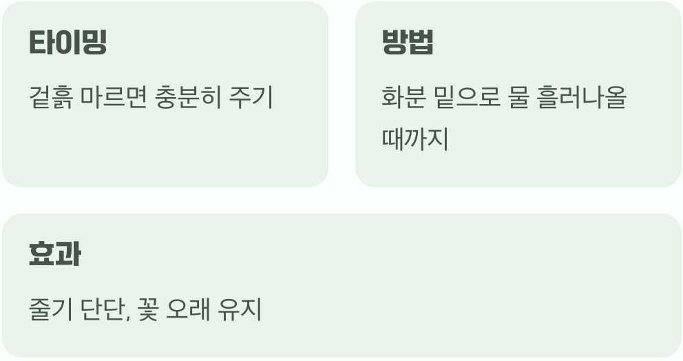 마지막 점검, 꾸준한 물주기