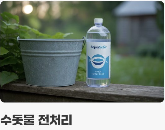 건강하게 오래 함께하는 법