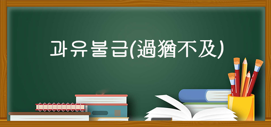 과유불급