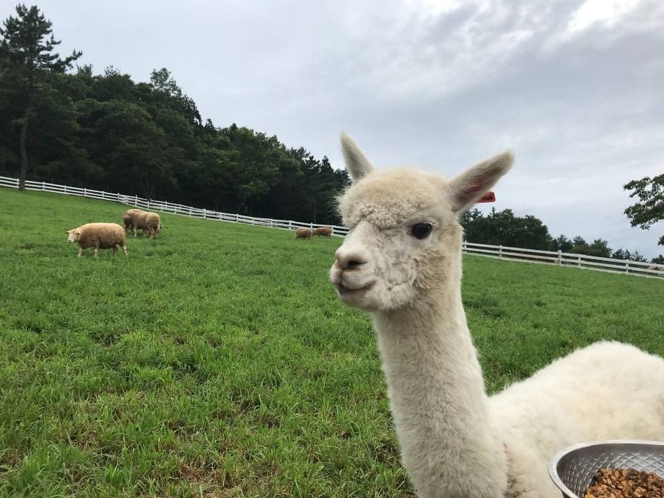 남해 가볼만한곳 베스트10