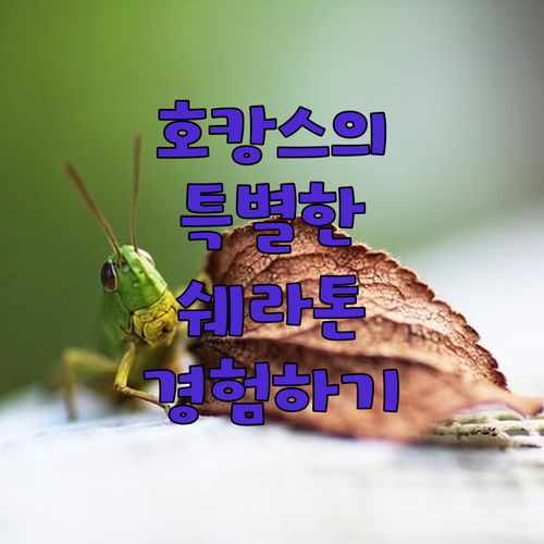 쉐라톤 그랜드 수쿰빗에서의 특별한 호