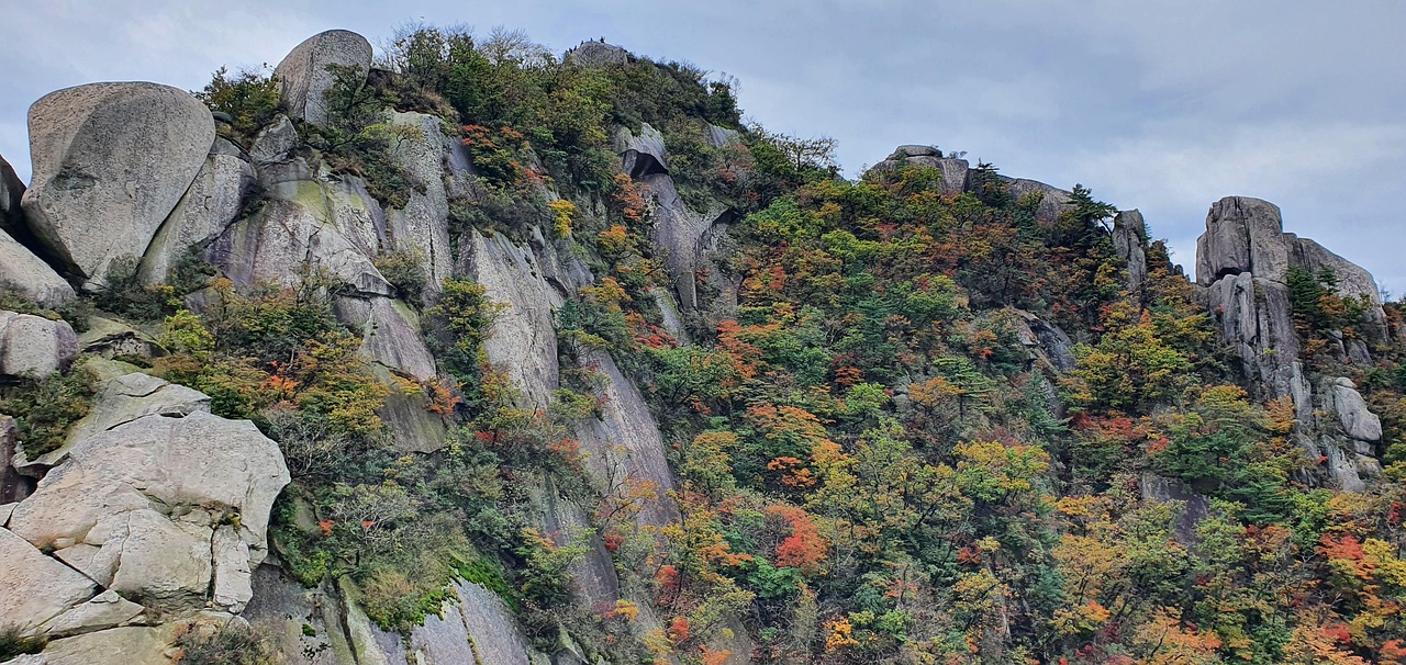 가을 단풍 등산 추천