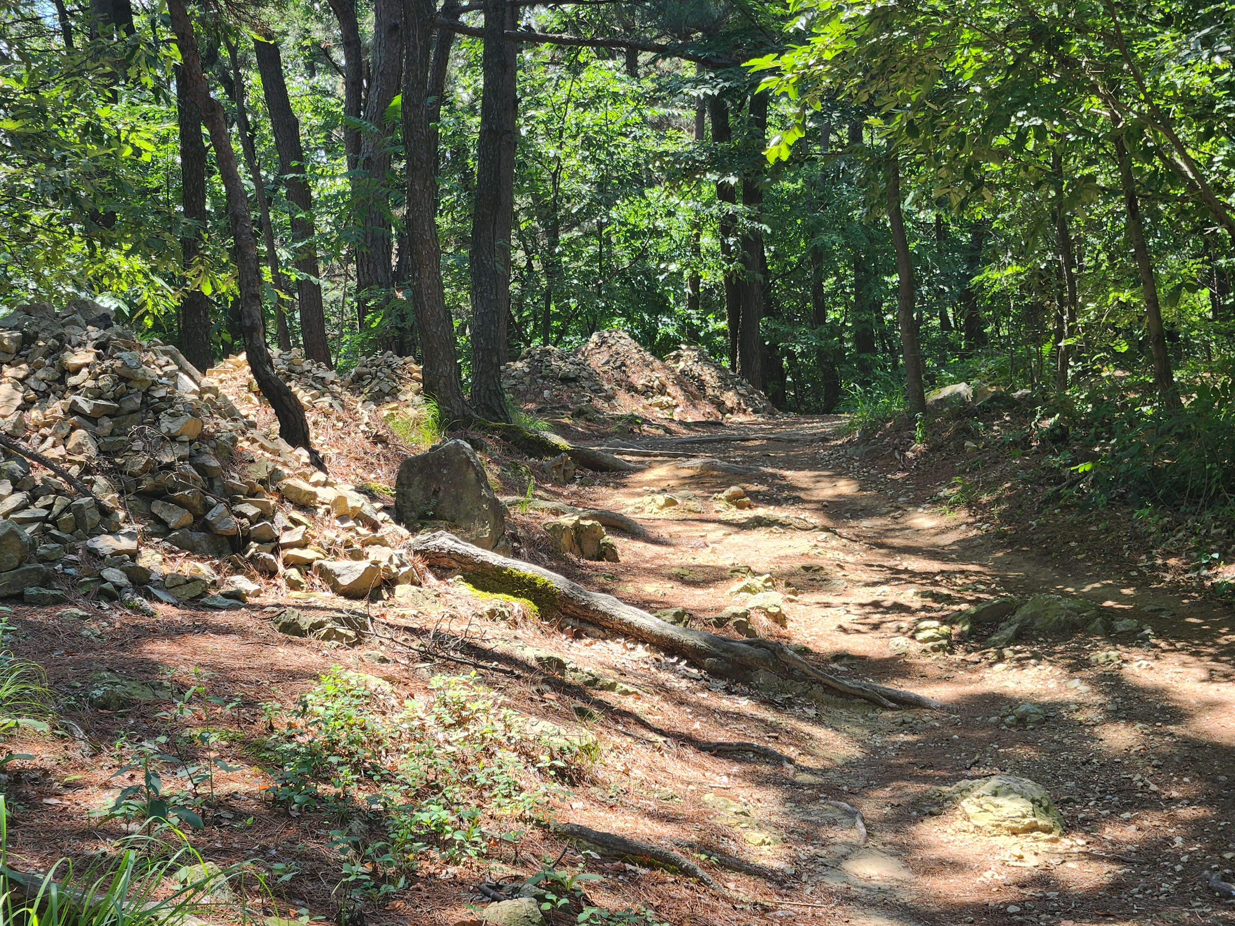 산성산 (18)