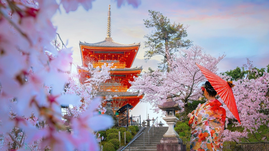 2025년 봄 여행 패키지 예약 완벽 가이드! 인기 여행지 & 혜택 총정리