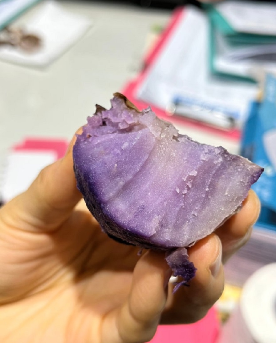 6시내고향-자색고구마-무안