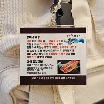 장어 효능 장어와 상극인 음식 건강 상식_24