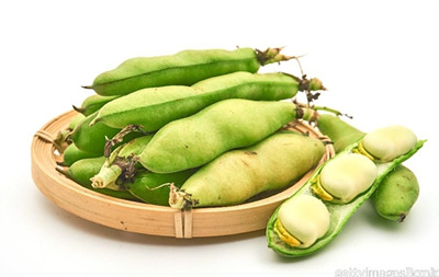 파바빈 껍질 사진