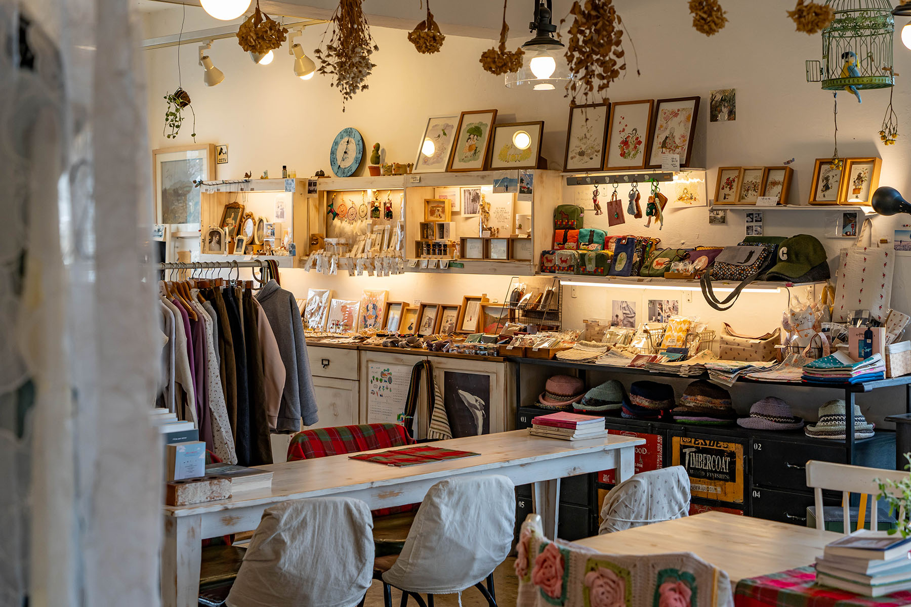 제주 애월 카페 꽃향유