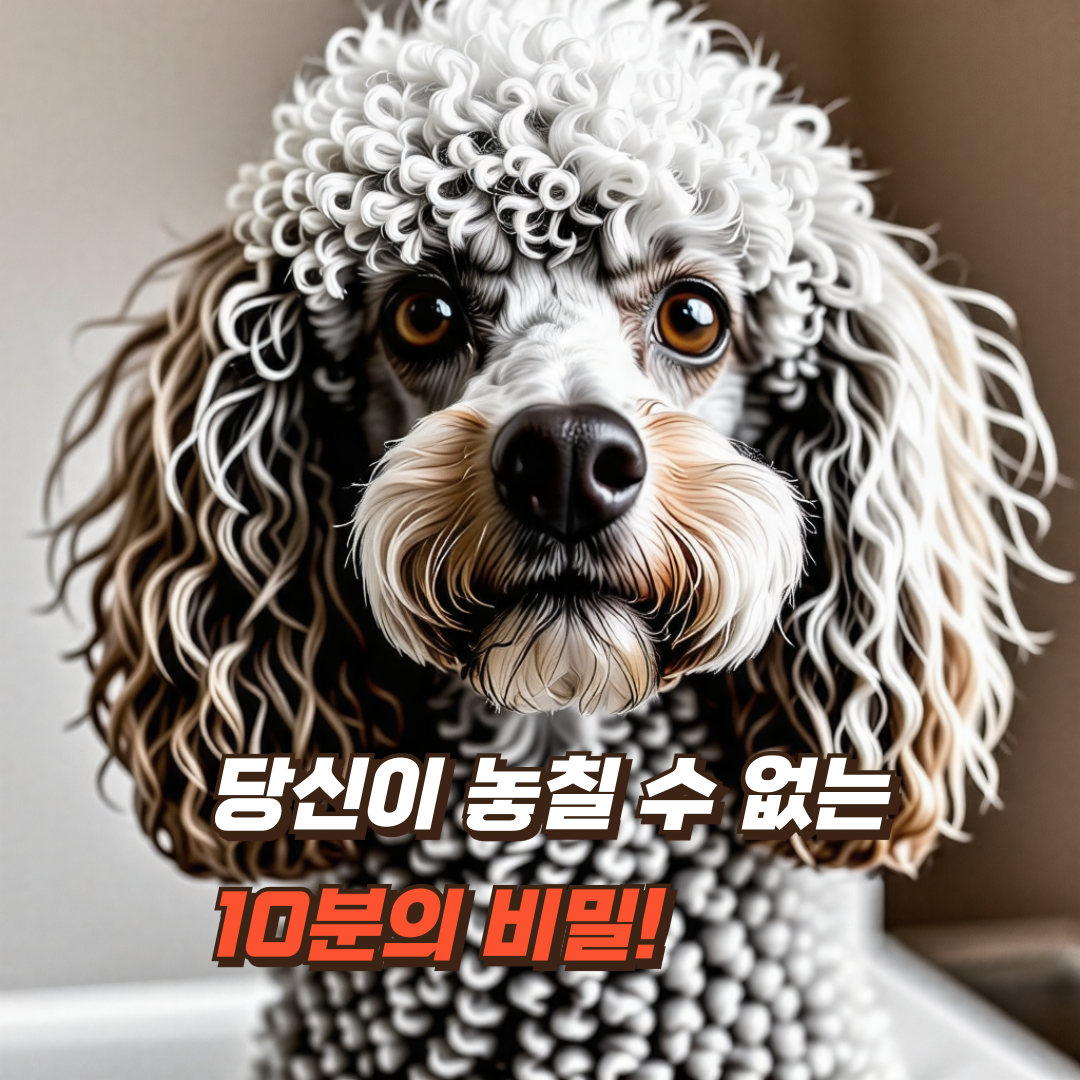 Pet-Behavior-Correction
