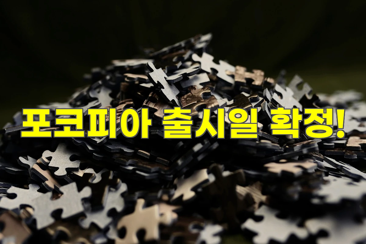 포코피아 출시일 확정