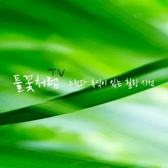 차 한잔하실래요 완벽 힐링 음악_17